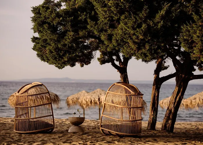 Cove Paros