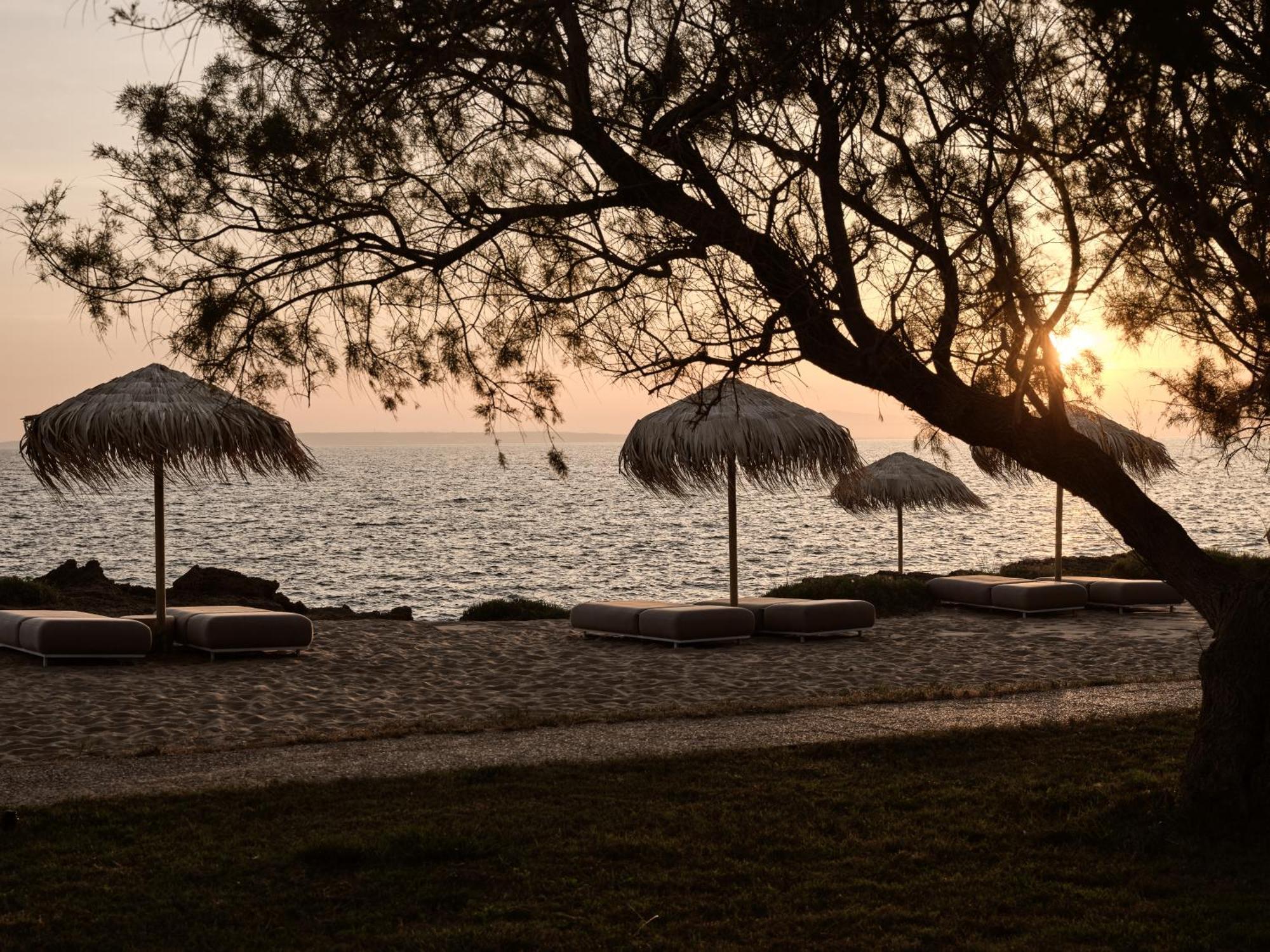 Cove Paros Hotel Nausa